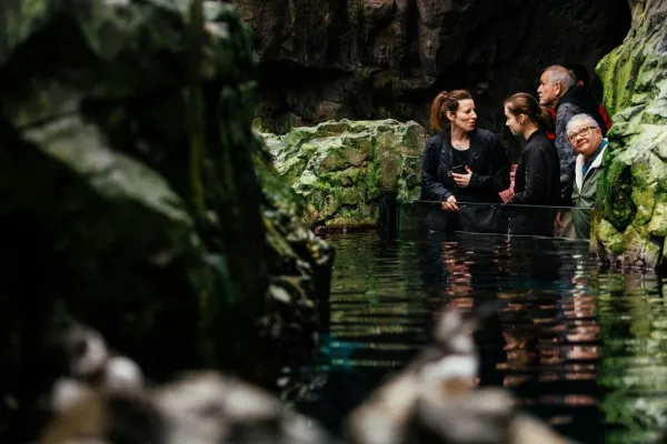 Oceanário de Lisboa: tour guiado