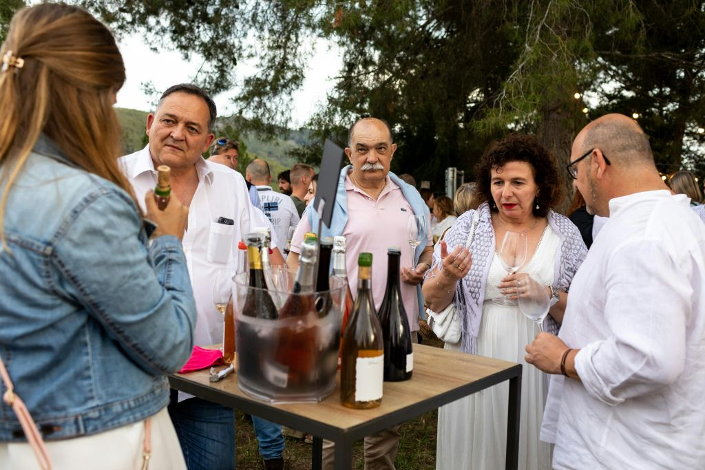 Barcelona: Guided Wine and Cava Experience