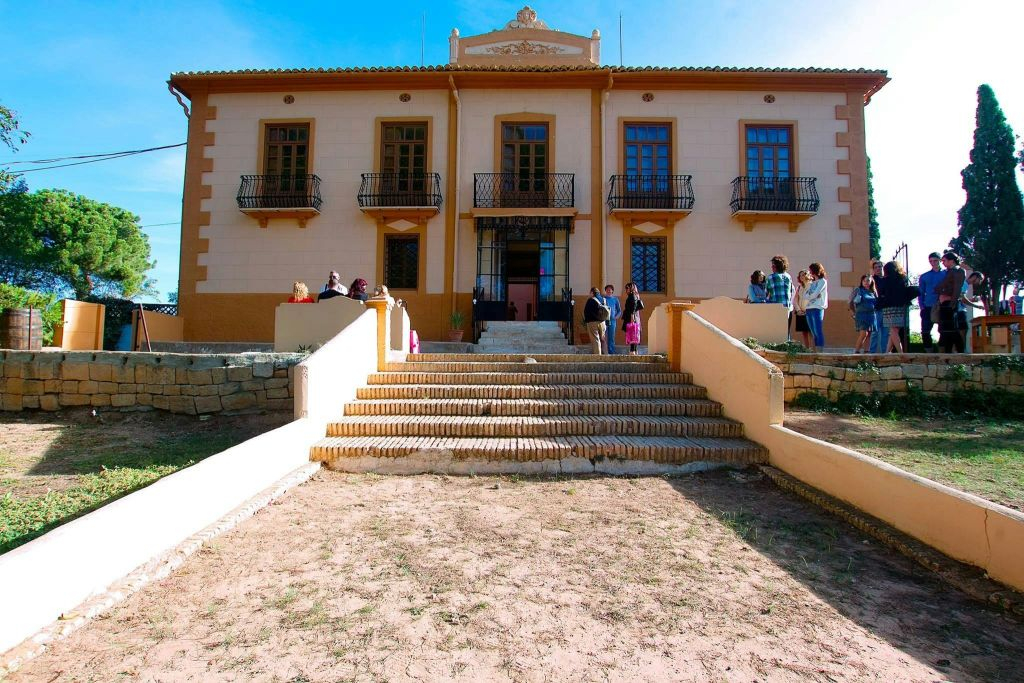 Utiel-Requena Vineyards: Guided Tour from Valencia + Wine Tasting
