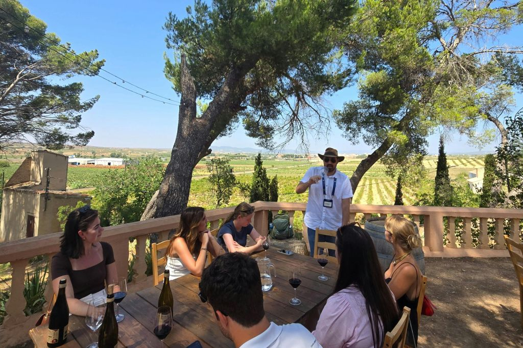 Utiel-Requena Vineyards: Guided Tour from Valencia + Wine Tasting