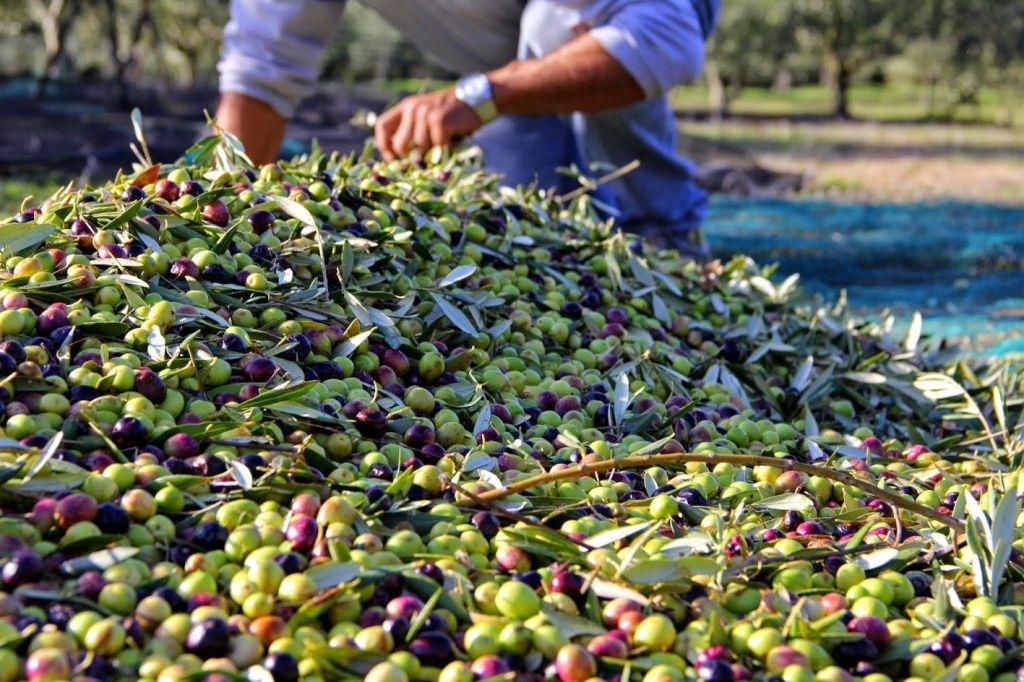 Luberon Villages: Guided Day Tour from Aix-en-Provence