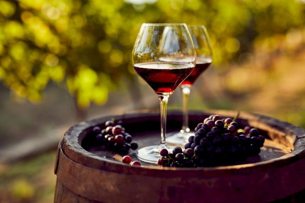 Châteauneuf-du-Pape : Visite guidée d'une journée depuis Aix-en-Provence + dégustation de vins