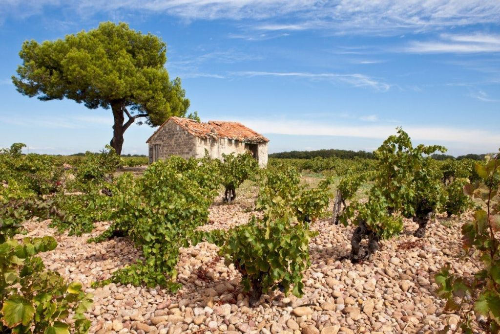 Châteauneuf-du-Pape : Visite guidée d'une journée depuis Aix-en-Provence + dégustation de vins