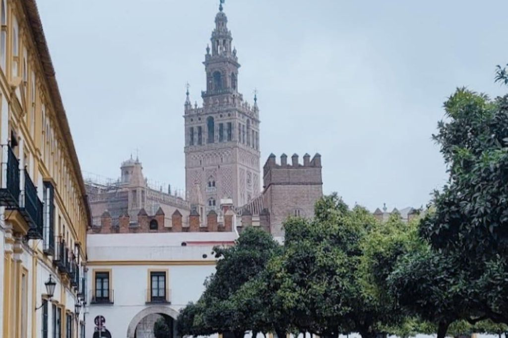 Santa Cruz Siviglia: Tour guidato a piedi