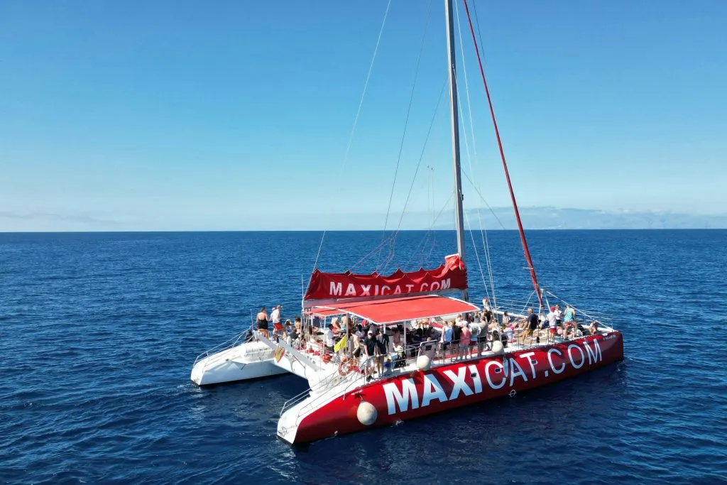 Tenerife: Excursión en Catamarán para Avistamiento de Delfines y Ballenas + Comida + Traslados