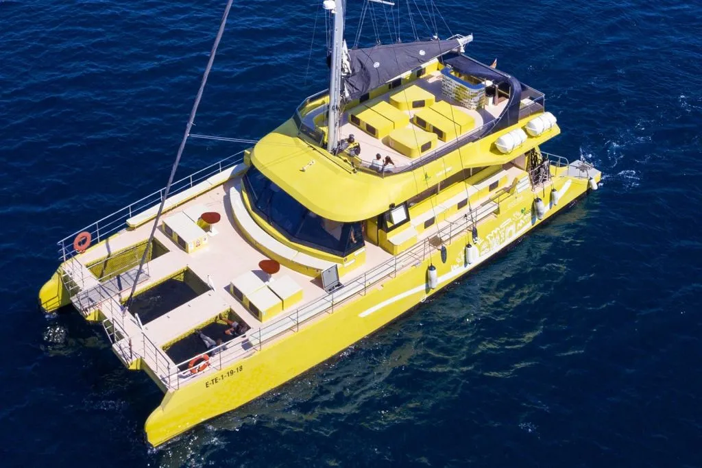 Barcelona: Catamaran Sunset Cruise with Live Show