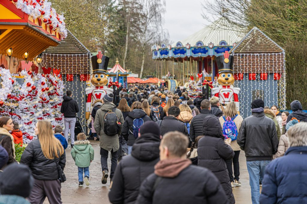 Walibi Belgique : Billet d'entrée