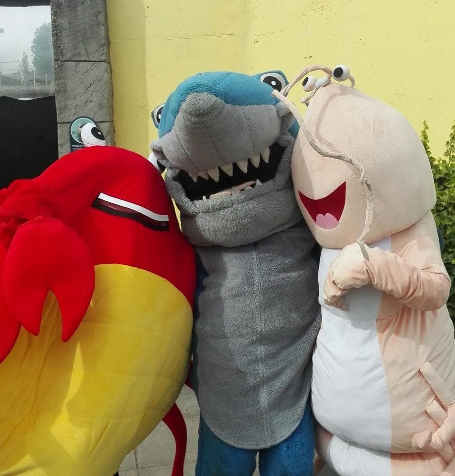 SEA LIFE Blankenberge: bilhete de entrada