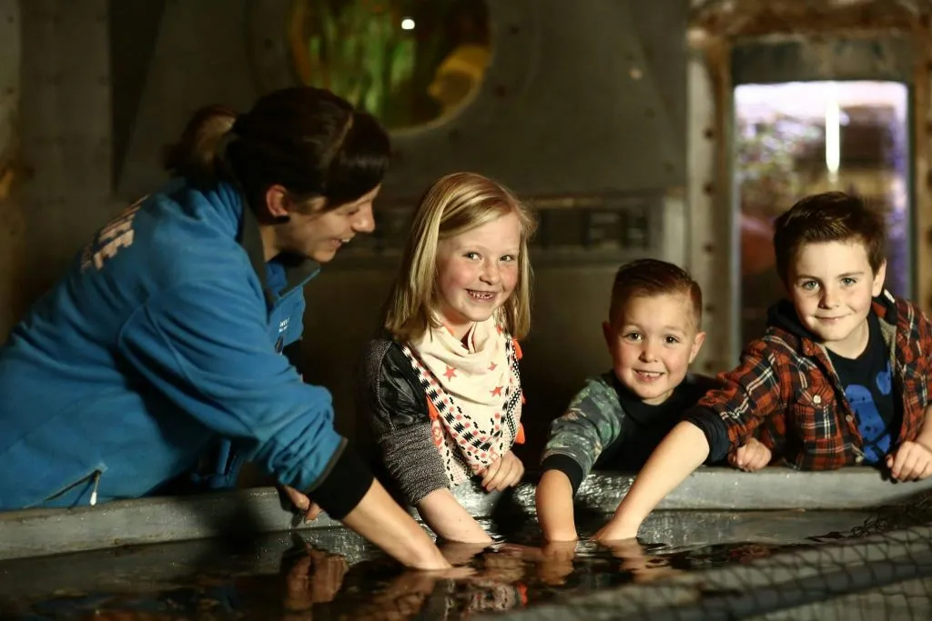SEA LIFE Blankenberge: bilhete de entrada