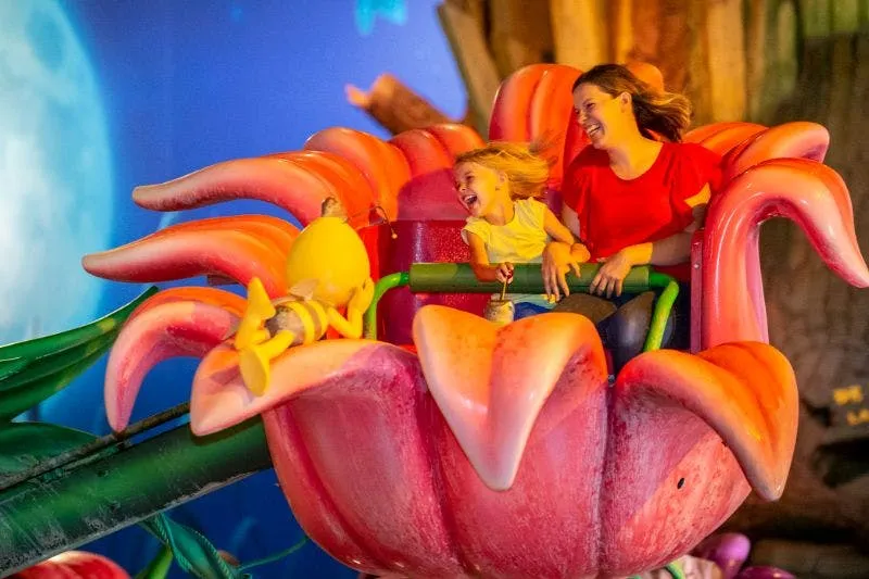 Plopsaland De Panne: Biglietto d'ingresso