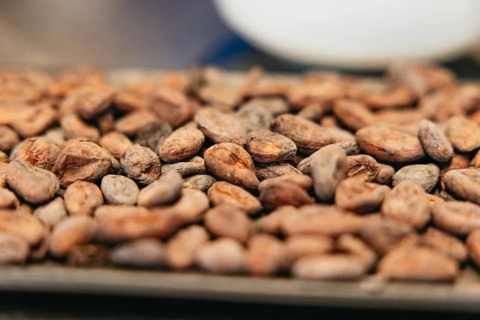 Bruxelles : Atelier guidé sur le chocolat + dégustation