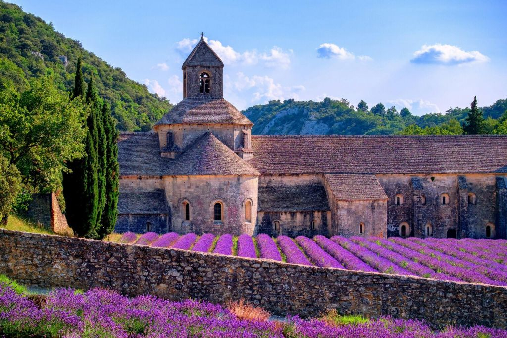 Campos de lavanda de Valensole: Visita guiada de um dia a partir de Aix-en-Provence
