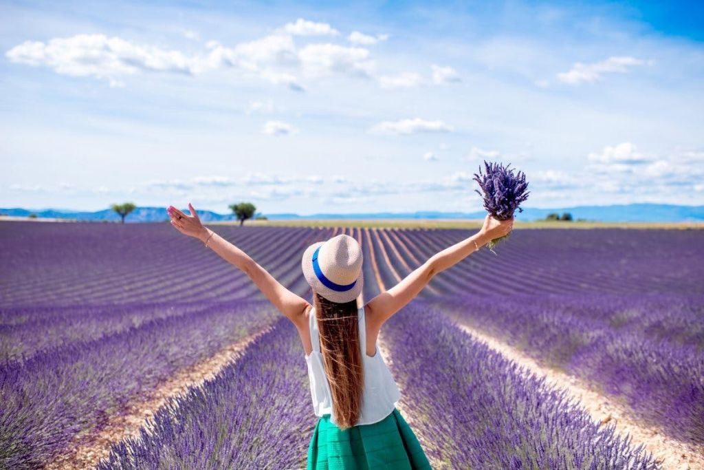 Campi di lavanda di Valensole: Tour guidato in giornata da Aix-en-Provence