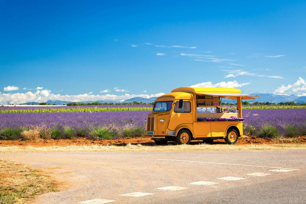Campos de lavanda de Valensole: Visita guiada de um dia a partir de Aix-en-Provence