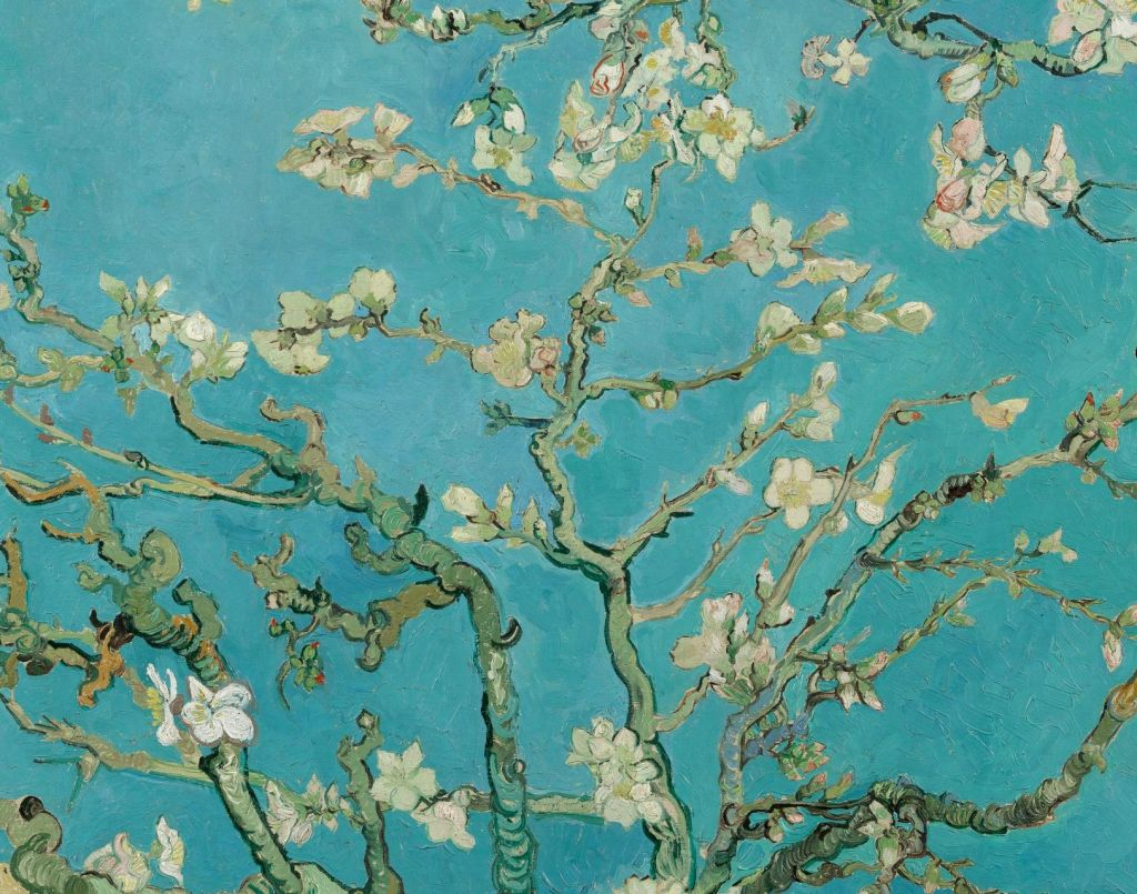 Van Gogh Museum: Entry Ticket