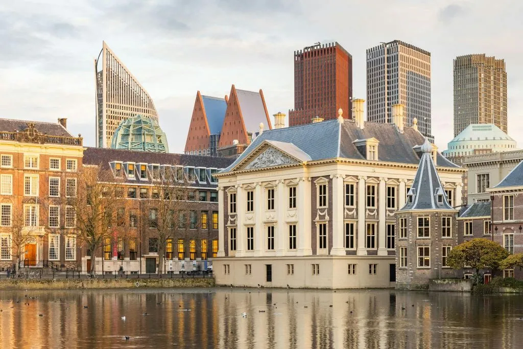 The Mauritshuis Museum: Entry Ticket