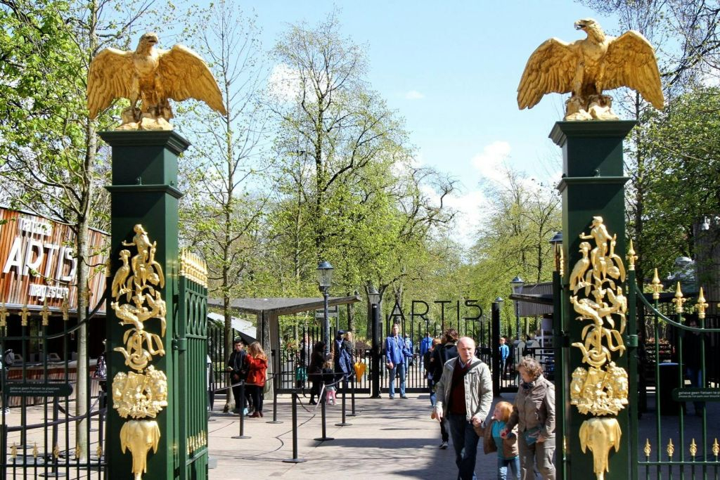 Zoo Royal ARTIS : Billet d'entrée