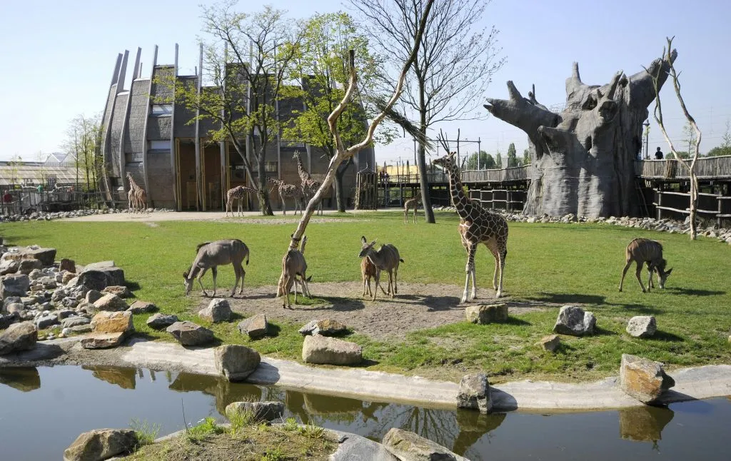 Rotterdam Zoo: Skip The Line Ticket