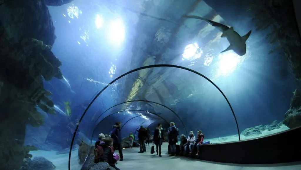 Rotterdam Zoo: Skip The Line Ticket