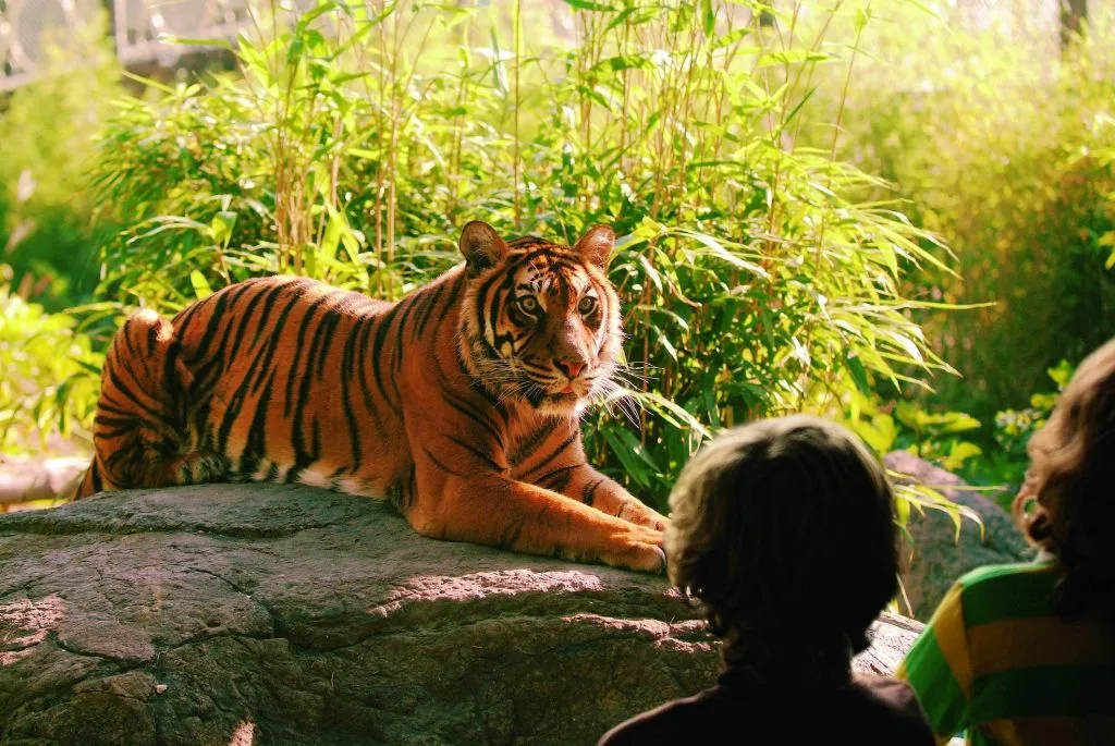 Rotterdam Zoo: Skip The Line Ticket