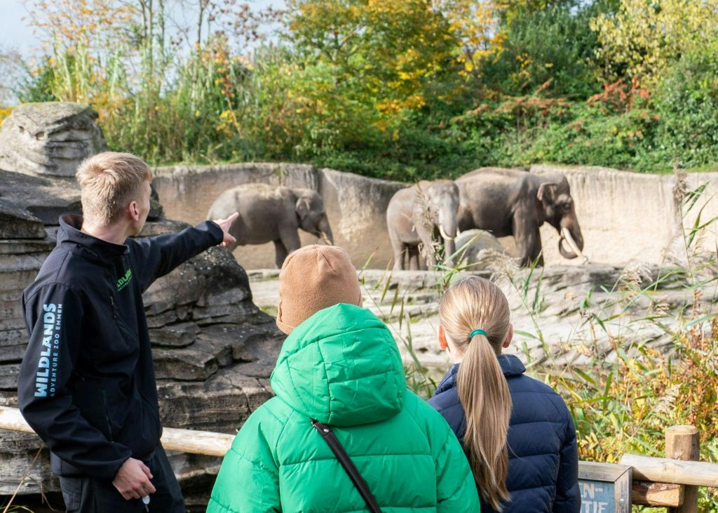 Wildlands Adventure Zoo Emmen : billet d'entrée "Skip The Line" (sans file d'attente)