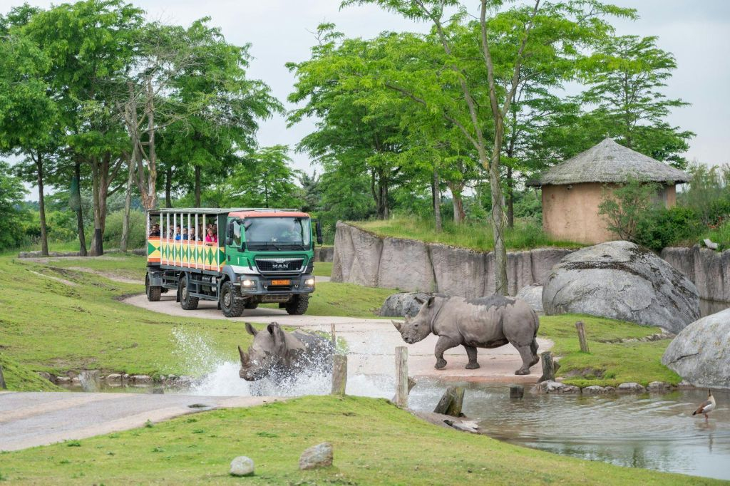 Wildlands Adventure Zoo Emmen : billet d'entrée "Skip The Line" (sans file d'attente)