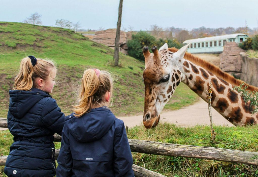 Wildlands Adventure Zoo Emmen : billet d'entrée "Skip The Line" (sans file d'attente)