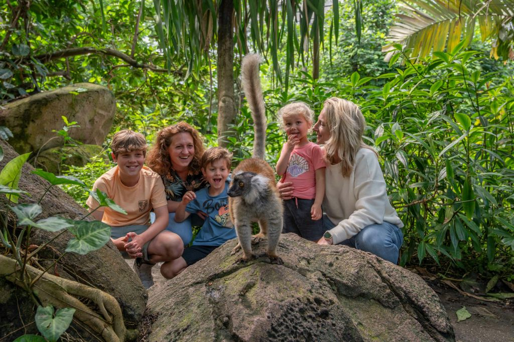 Wildlands Adventure Zoo Emmen : billet d'entrée "Skip The Line" (sans file d'attente)