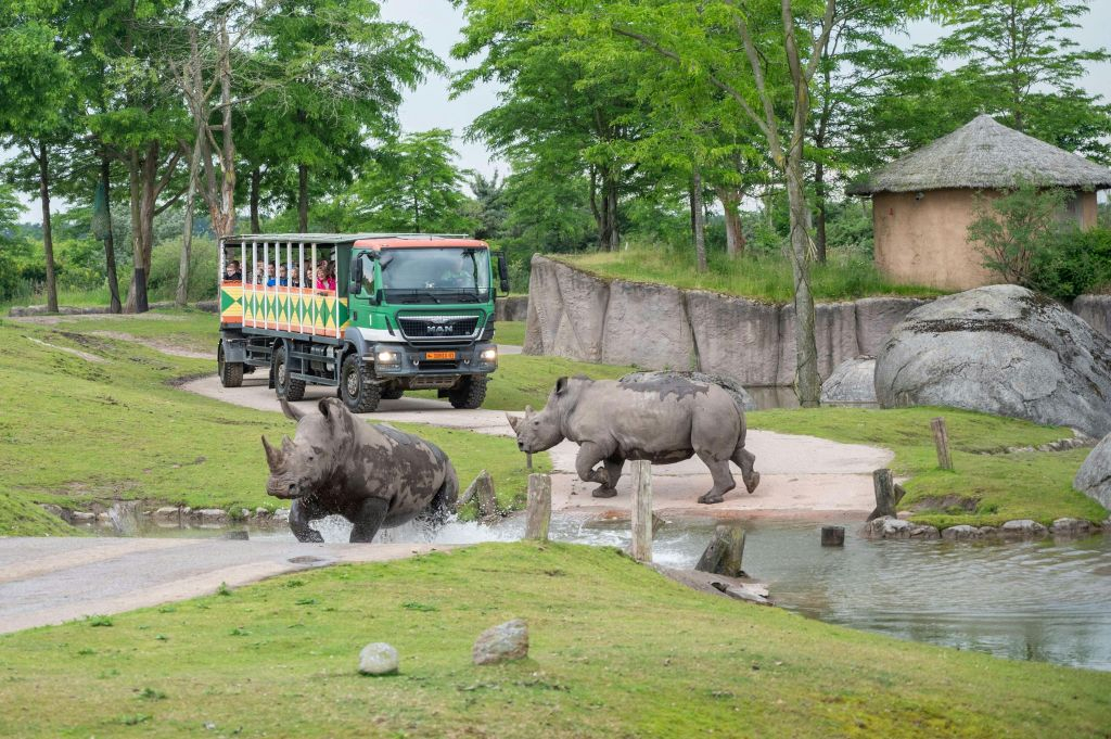 Wildlands Adventure Zoo Emmen : billet d'entrée "Skip The Line" (sans file d'attente)