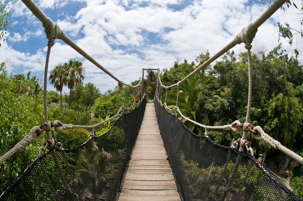 Jungle Park: Entrada