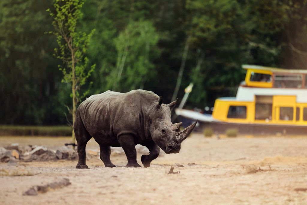 Safaripark Beekse Bergen