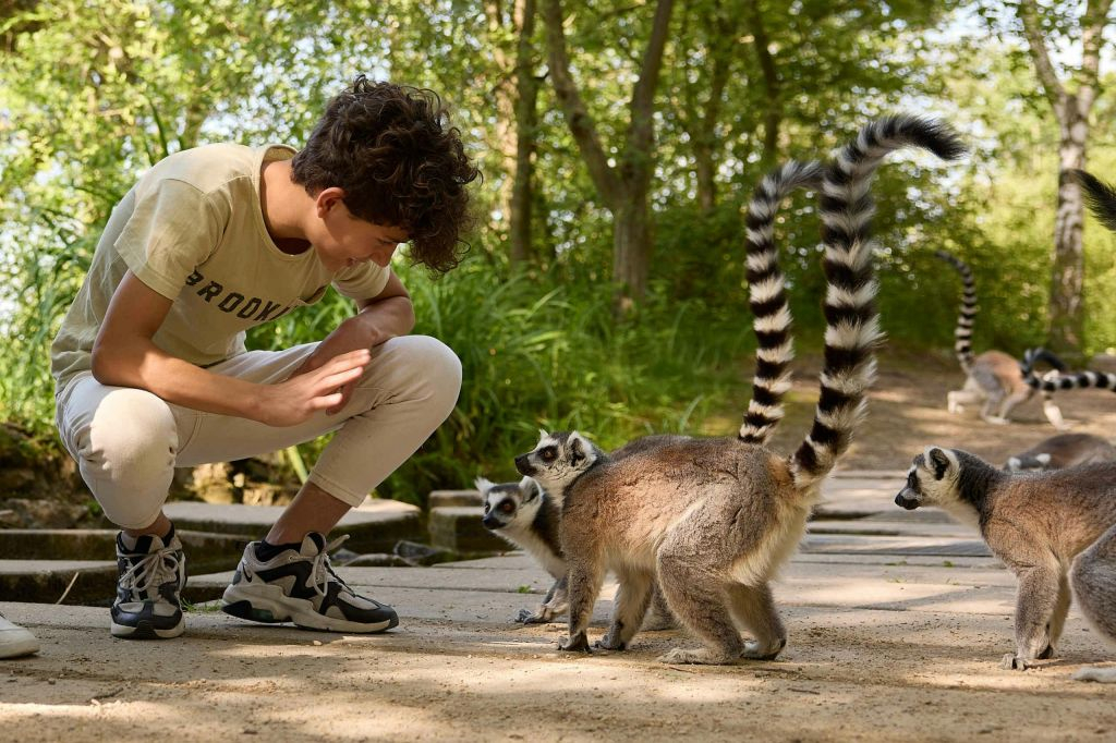 Safaripark Beekse Bergen