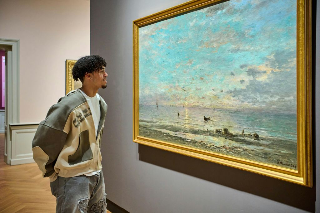 Museum Panorama Mesdag: Entry Ticket