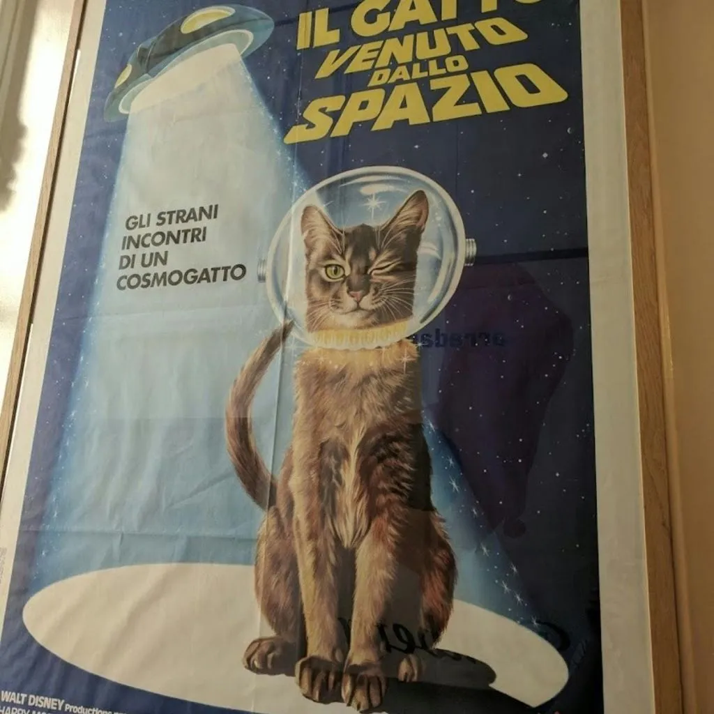 O Gabinete dos Gatos: bilhete de entrada
