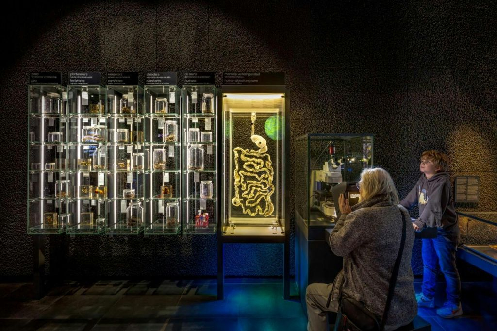 ARTIS Micropia : Billet d'entrée