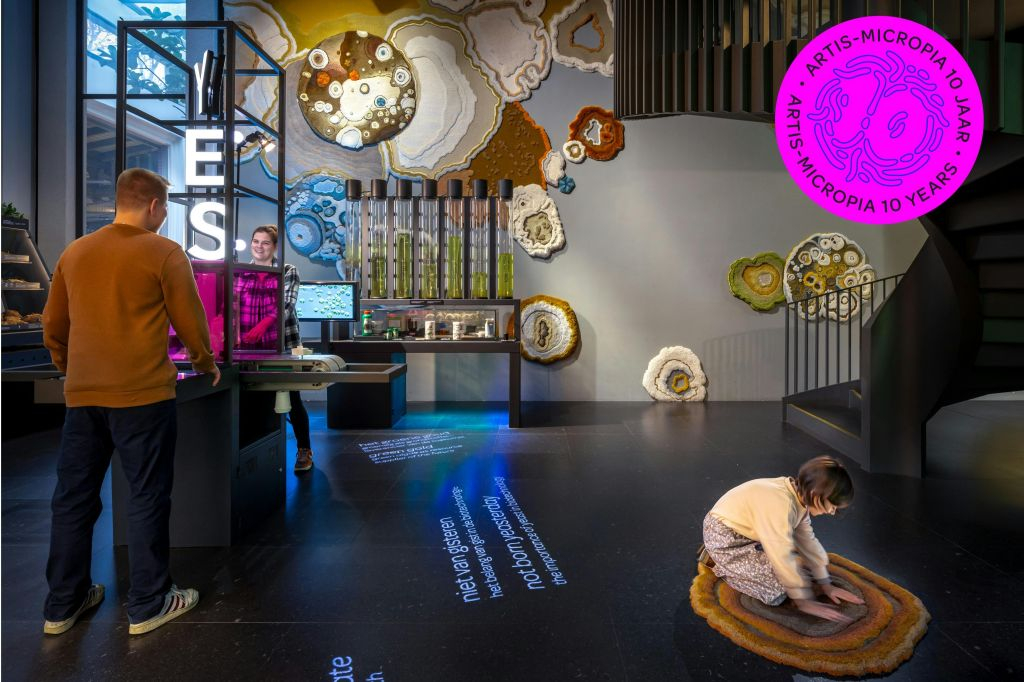 ARTIS Micropia : Billet d'entrée
