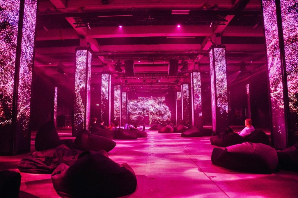 AMAZE: The Immersive Experience