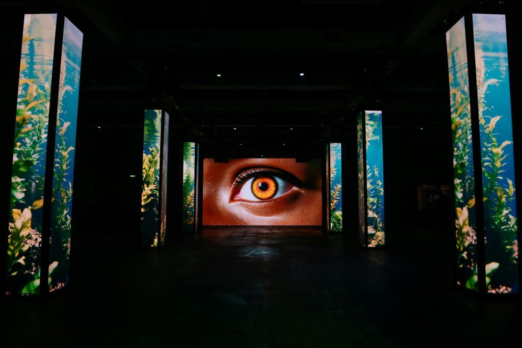 AMAZE: The Immersive Experience