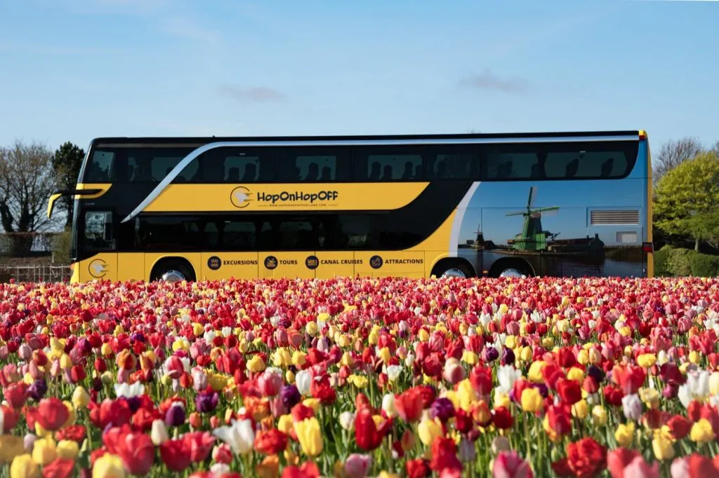 Amsterdam: Roundtrip Transfer to Keukenhof
