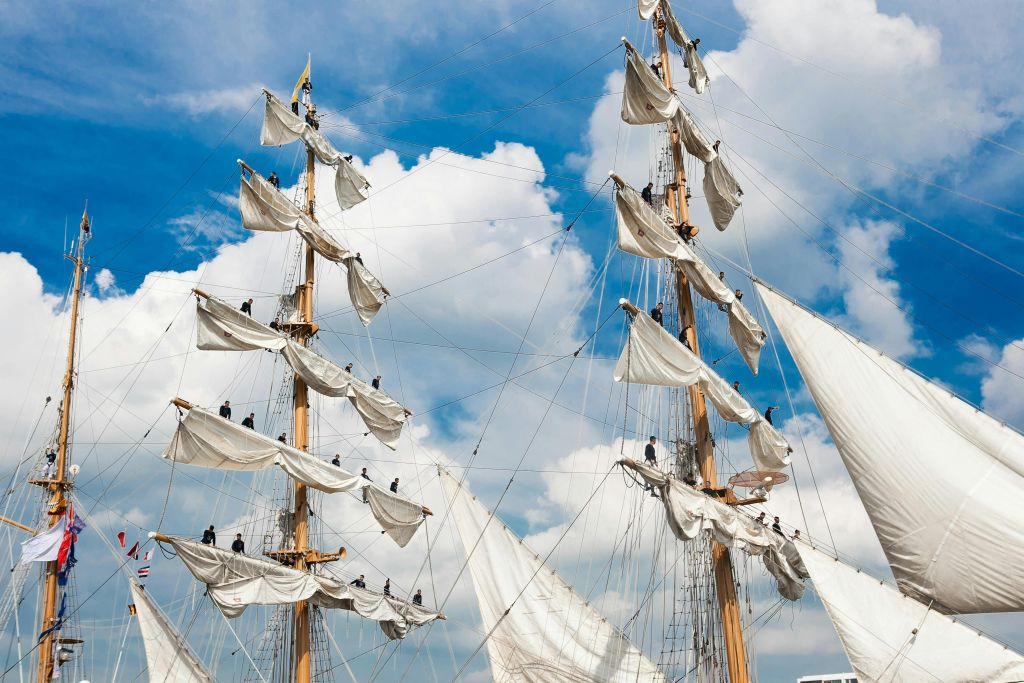 SAIL Amsterdam 2025: Open Boat Cruise with Drink