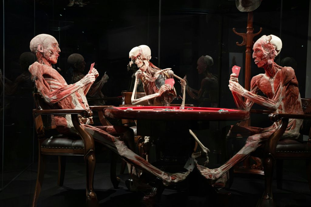BODY WORLDS - The Happiness Project: Skip The Line Ticket