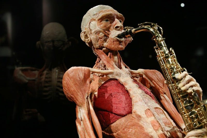 BODY WORLDS - The Happiness Project: Skip The Line Ticket