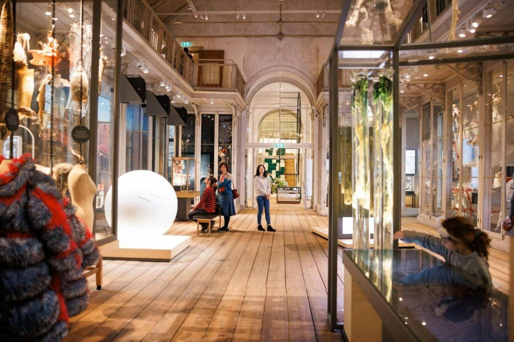 ARTIS Amsterdam Royal Zoo & Groote Museum : Billet d'entrée "Skip-the-Line