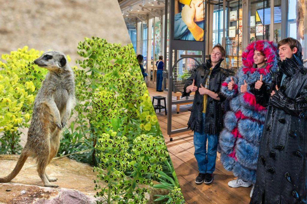 ARTIS Amsterdam Royal Zoo & Groote Museum : Billet d'entrée "Skip-the-Line