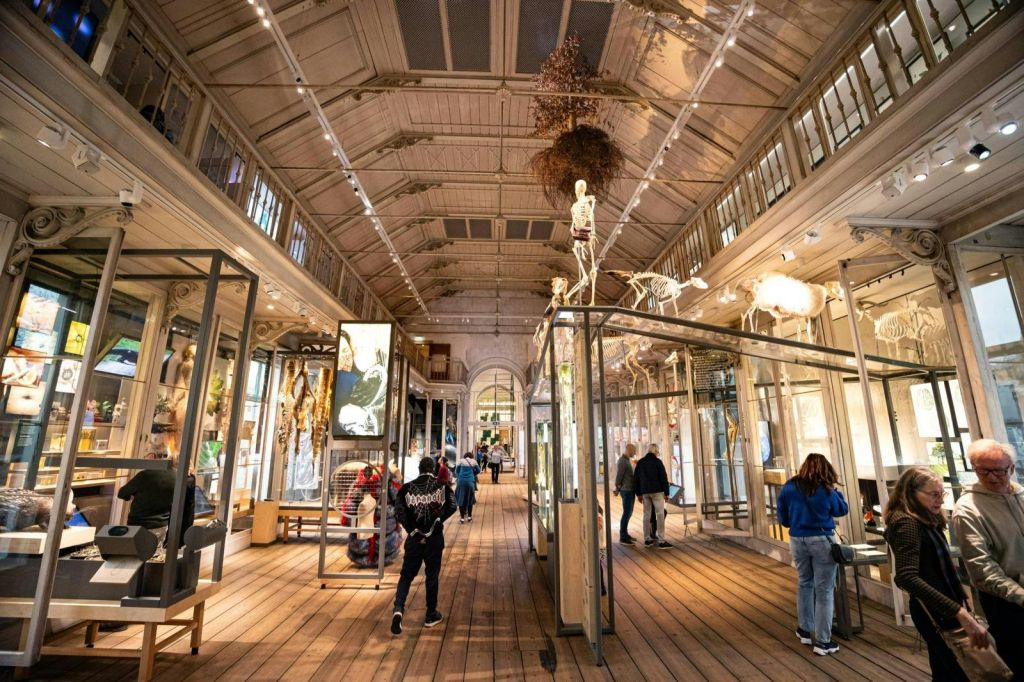 ARTIS Amsterdam Royal Zoo & Groote Museum : Billet d'entrée "Skip-the-Line