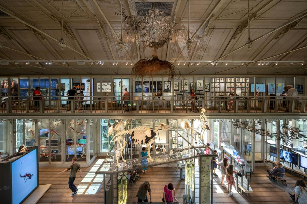 ARTIS Amsterdam Royal Zoo & Groote Museum : Billet d'entrée "Skip-the-Line
