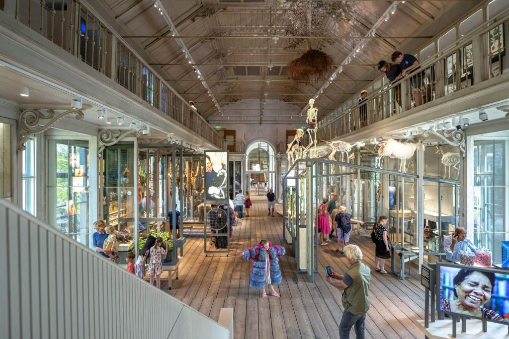 ARTIS Amsterdam Royal Zoo & Groote Museum : Billet d'entrée "Skip-the-Line