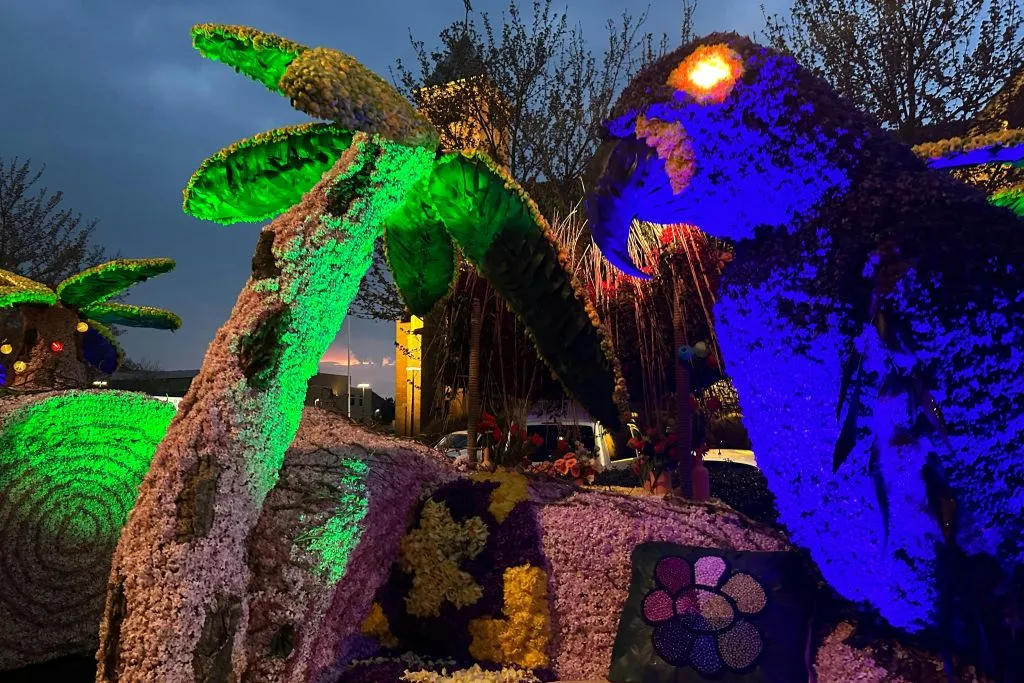 Keukenhof e desfile de flores: bilhete de entrada + caminhada iluminada à noite