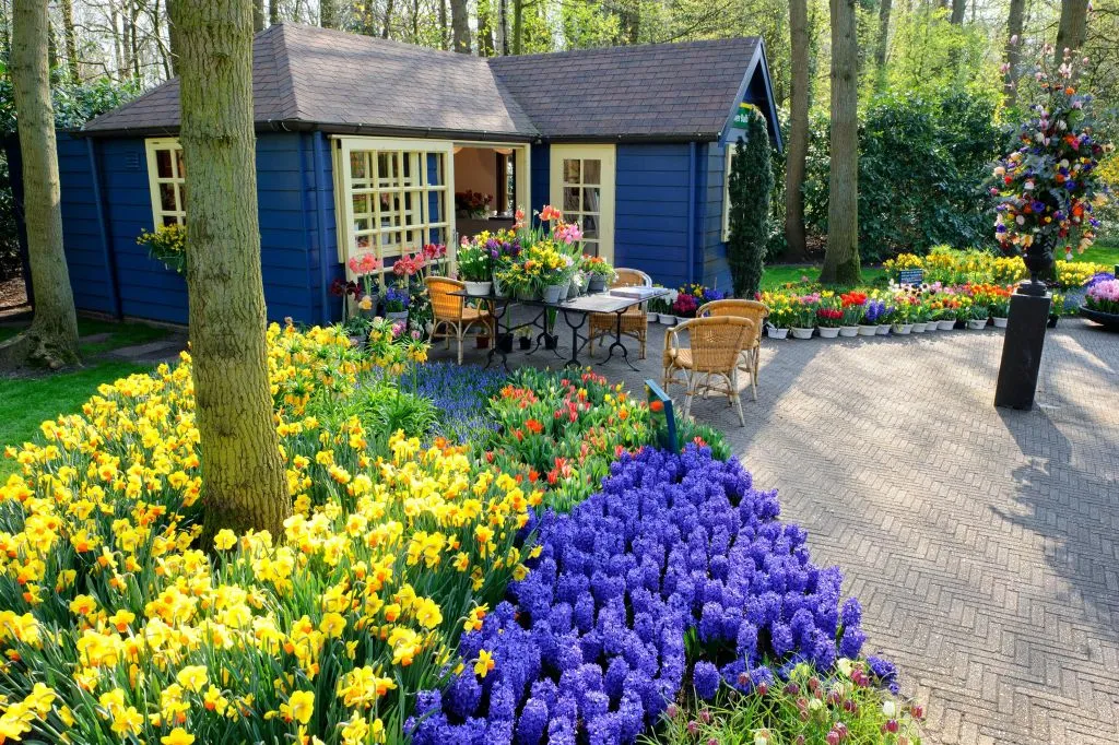 Keukenhof e desfile de flores: bilhete de entrada + caminhada iluminada à noite