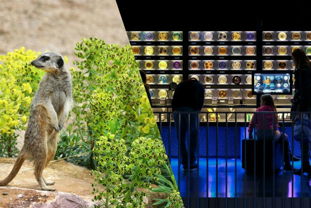 ARTIS Amsterdam Royal Zoo & Micropia : Billet d'entrée "Skip The Line